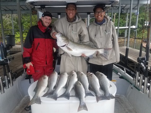 Nice Striped Bass