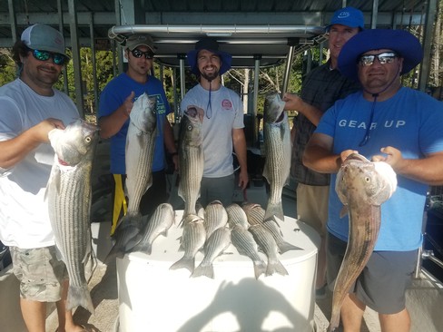 Nice Striped Bass