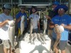 (07/30/2019) - Nice Striped Bass