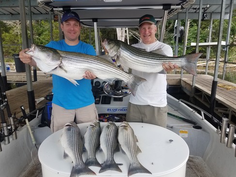 Nice Striped Bass