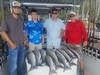 (08/06/2019) - Nice Striped Bass