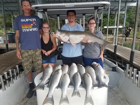 Nice Striped Bass