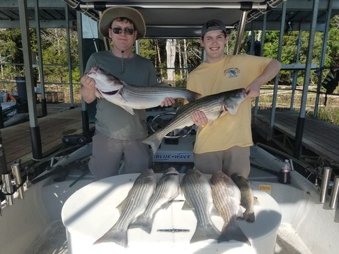 Nice Striped Bass