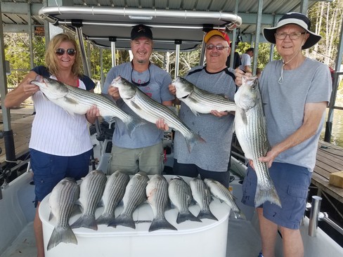 Nice Striped Bass