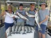 (08/14/2019) - Nice Striped Bass