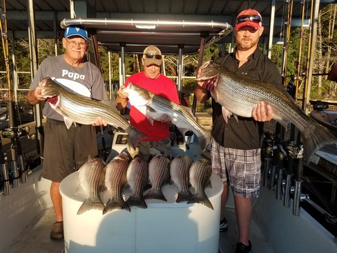 Nice Striped Bass