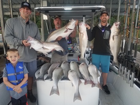 Nice Striped Bass