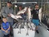 (08/16/2019) - Nice Striped Bass