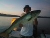 (08/20/2019) - Nice Striped Bass