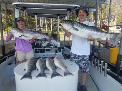 Nice Striped Bass