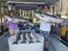 (08/20/2019) - Nice Striped Bass