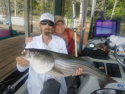 Nice Striped Bass