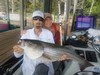 (08/21/2019) - Nice Striped Bass
