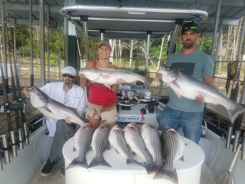 Nice Striped Bass