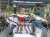 (08/21/2019) - Nice Striped Bass