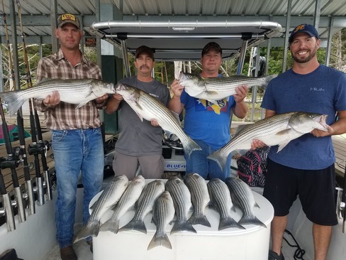 Nice Striped Bass