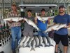 (08/24/2019) - Nice Striped Bass
