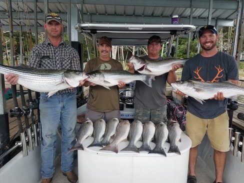 Nice Striped Bass