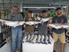 (08/25/2019) - Nice Striped Bass