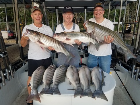 Nice Striped Bass