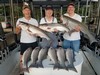 (08/26/2019) - Nice Striped Bass