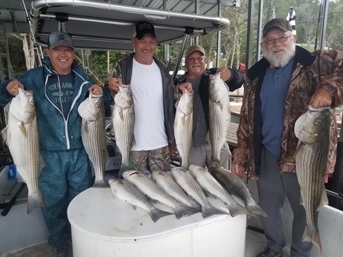 Nice Striped Bass