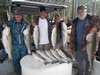 (08/27/2019) - Nice Striped Bass