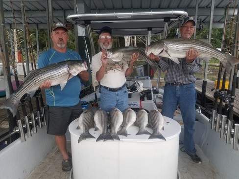 Nice Striped Bass