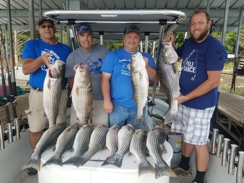 Nice Striped Bass