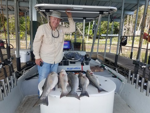 Nice Striped Bass