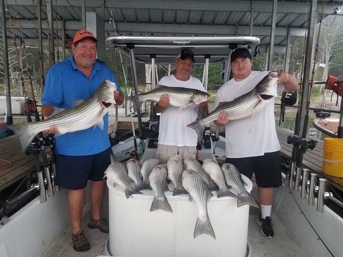 Nice Striped Bass