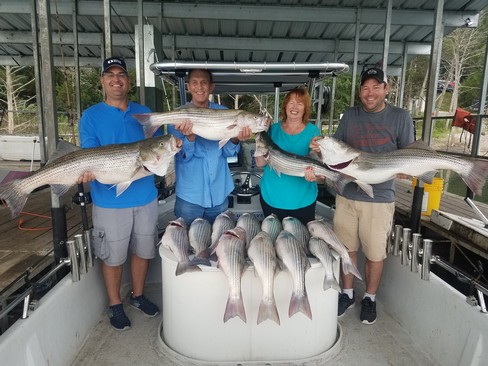 Nice Striped Bass