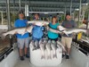 (09/05/2019) - Nice Striped Bass