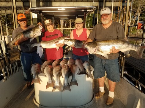 Nice Striped Bass