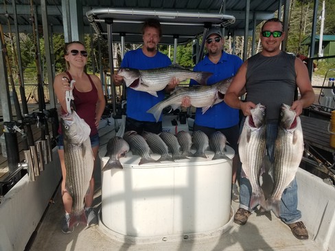 Nice Striped Bass