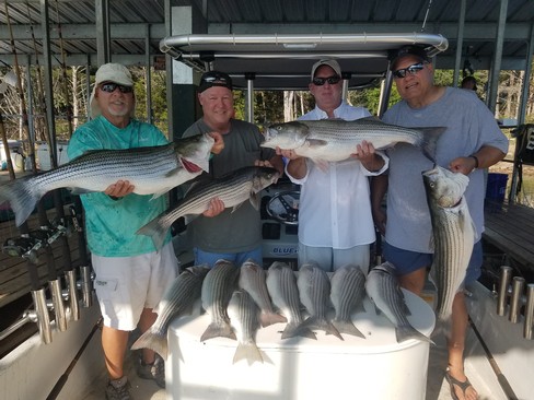 Nice Striped Bass