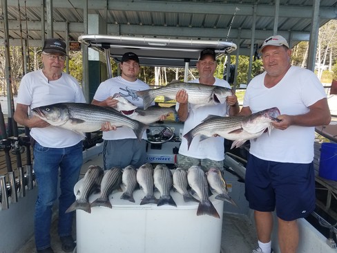 Nice Striped Bass