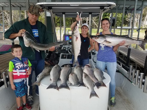 Nice Striped Bass