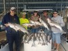 (09/14/2019) - Nice Striped Bass