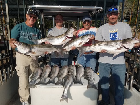 Nice Striped Bass