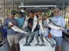 (09/16/2019) - Nice Striped Bass