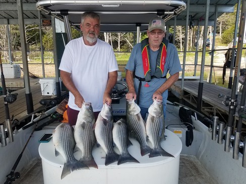 Nice Striped Bass