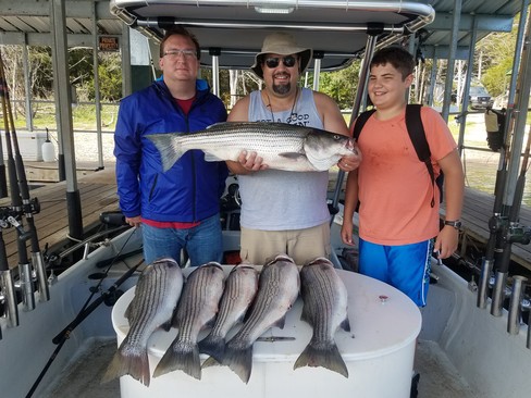 Nice Striped Bass