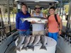 (09/29/2019) - Nice Striped Bass