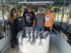 (09/30/2019) - Nice Striped Bass