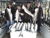 (10/10/2019) - Nice Striped Bass