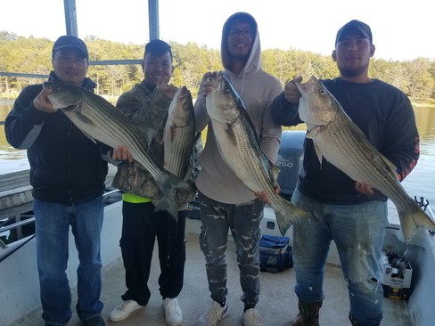 Nice Striped Bass