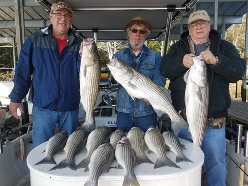 Nice Striped Bass