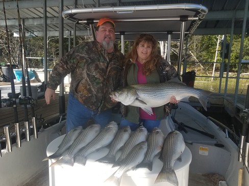 Nice Striped Bass