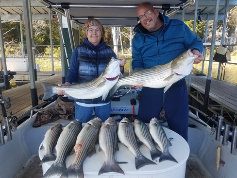 Nice Striped Bass